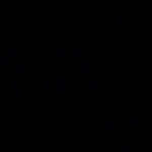 Meet your Posher, Camille